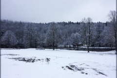 2016_schnee_schnsee