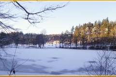 DSCF0355