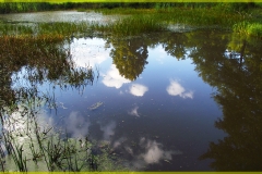 DSCF1751_1