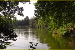DSCF2114_1