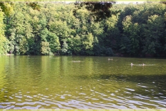 DSCF2137_1