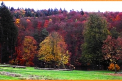 DSCF2653
