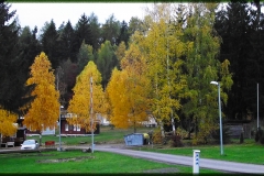 DSCF2656
