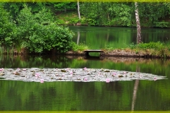 DSCF8841_1