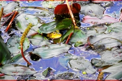 DSCF8858_1