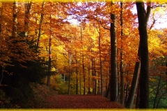 herbst2016