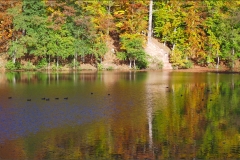 DSCF6310-(1)aweb