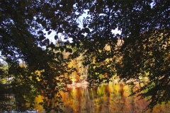 DSCF6320-(1)aweb