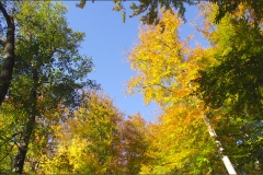 DSCF6356-(1)aweb