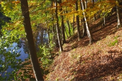 DSCF6386-(1)aweb