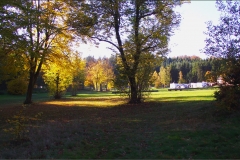 DSCF6420-(1)aweb