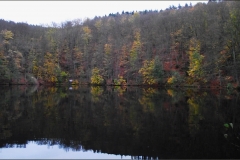 DSCF6619aweb